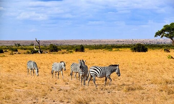 3 Days Masai Mara Safari