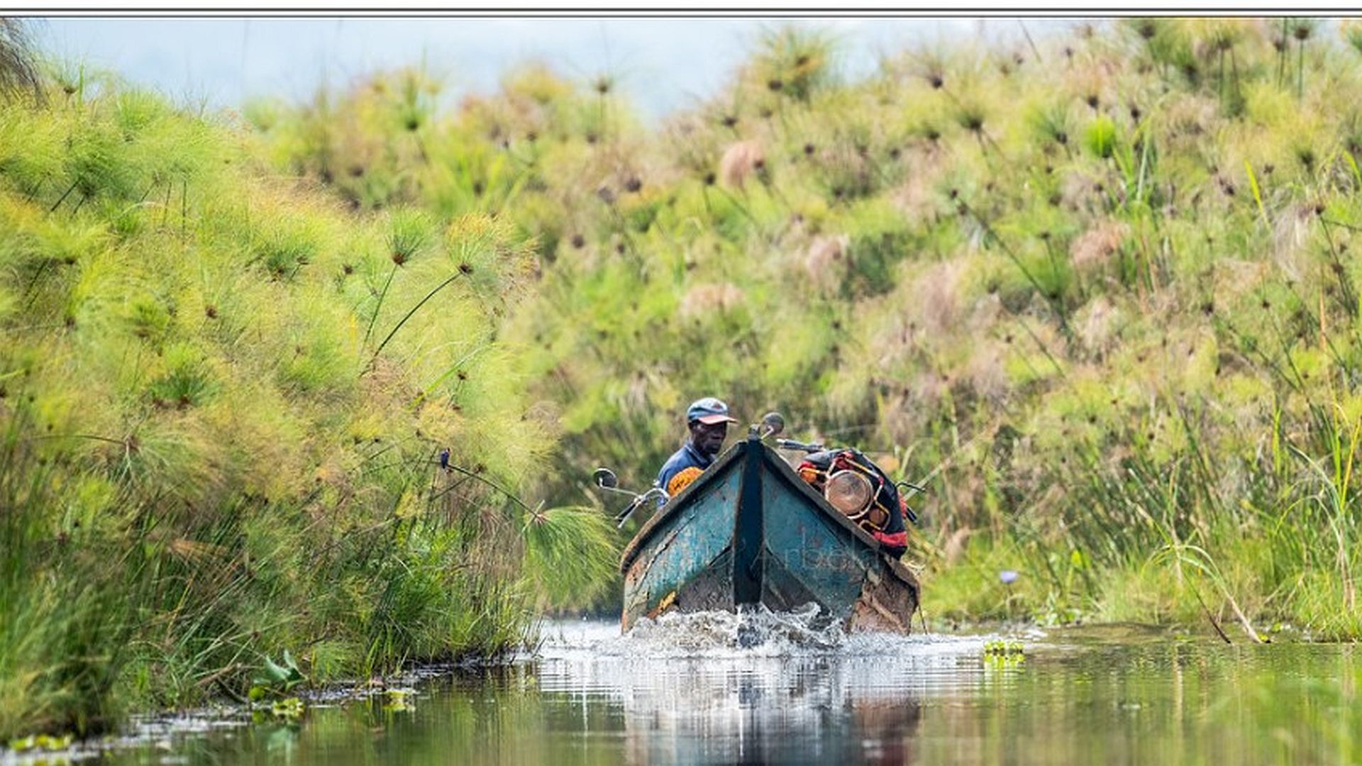 2 Days Mabamba Shoebill Birding Safari