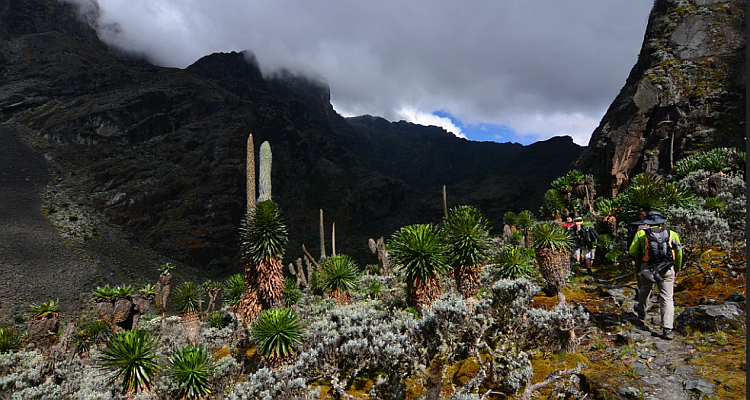 Discovering Margherita Peak: Unraveling the Journey to the Summit