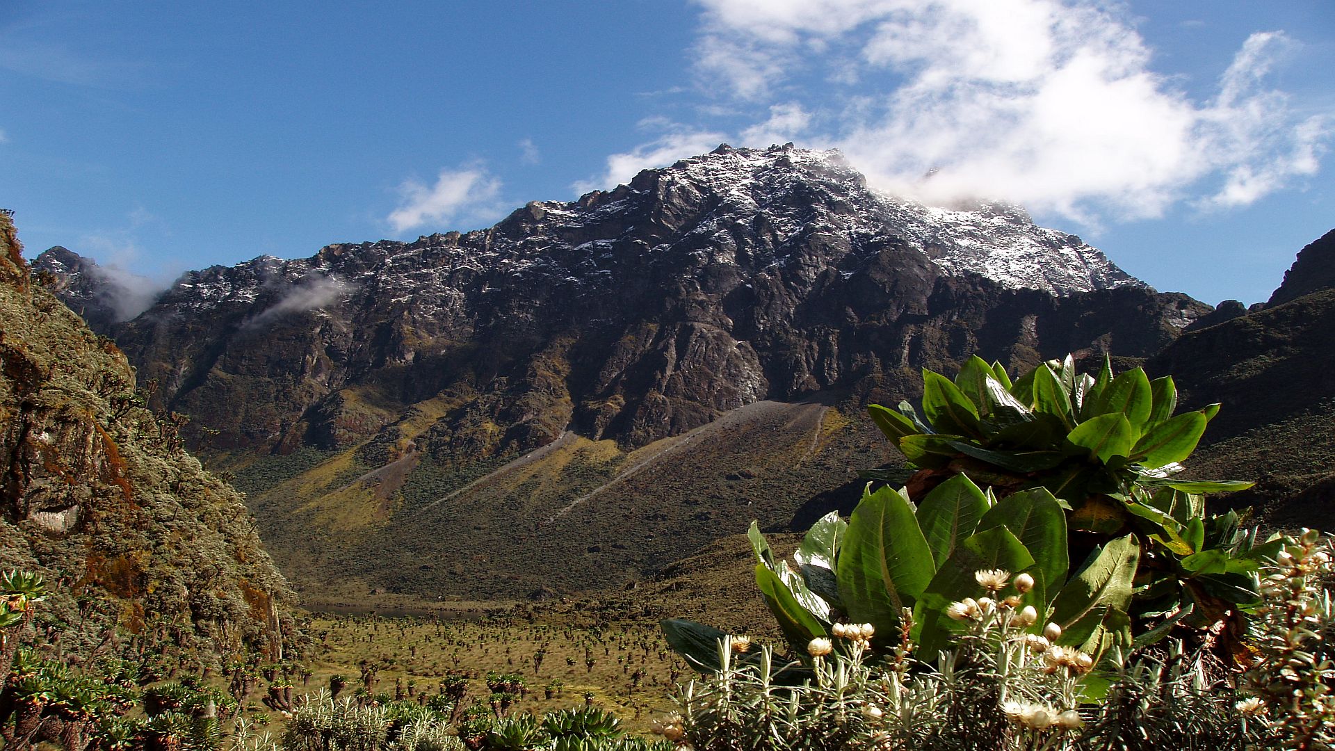 Snow-capped mountain with alpine flora under a blue sky