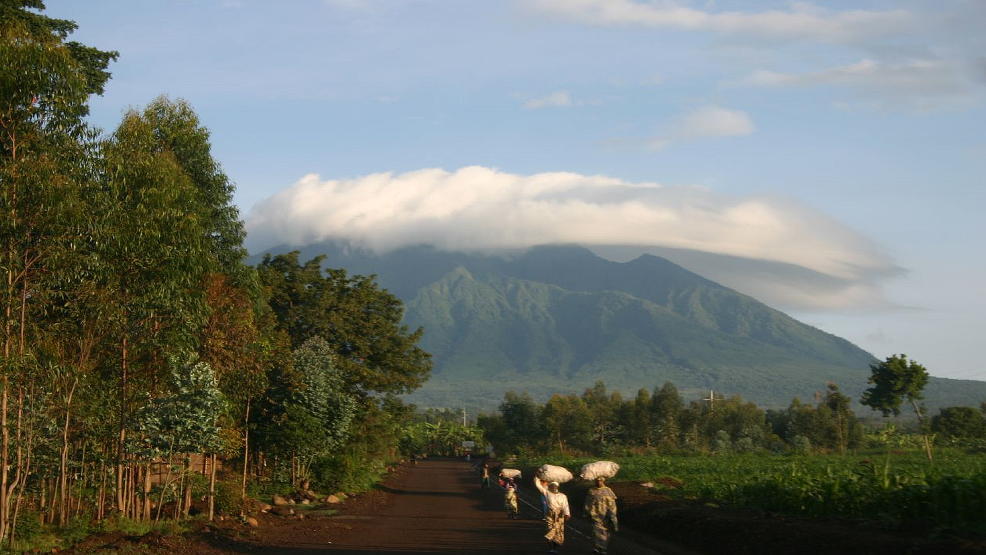 1 Day Rwanda Gorilla Trek