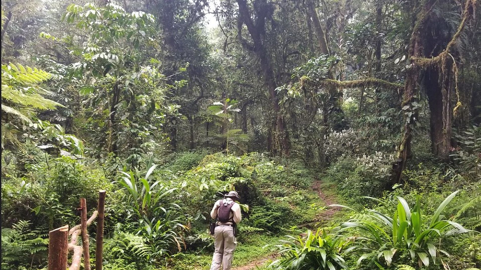 3 Days Uganda Gorilla Trekking Tour