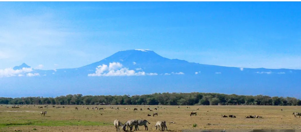 3 Days Amboseli Safari