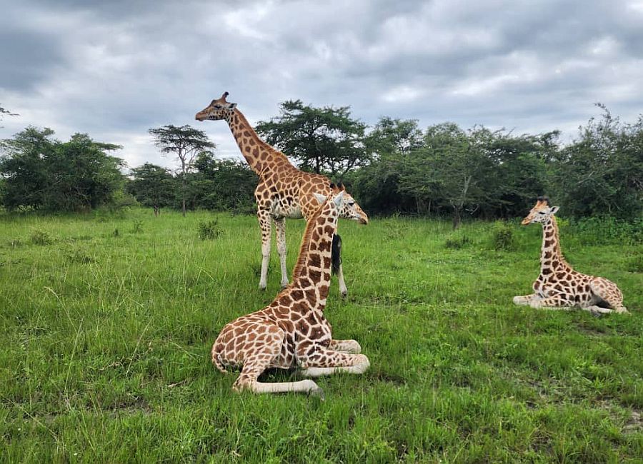 Lake Mburo National Park