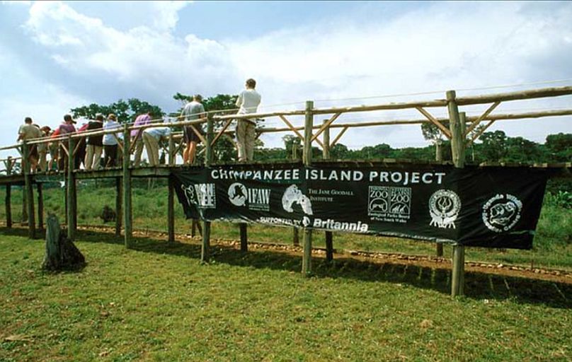 Ngamba Island Chimpanzee Sanctuary