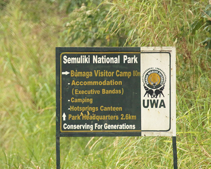 welcome to Semuliki antional park,one of Uganda's homes to Shoebill stork