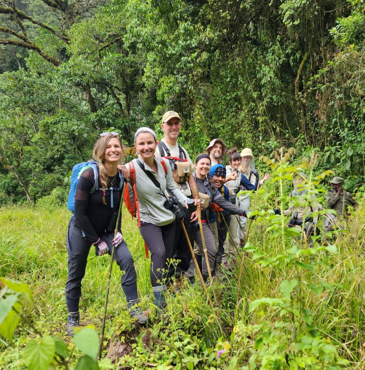 a group hiking through bwindi impenetrable forest national park for the gorillas