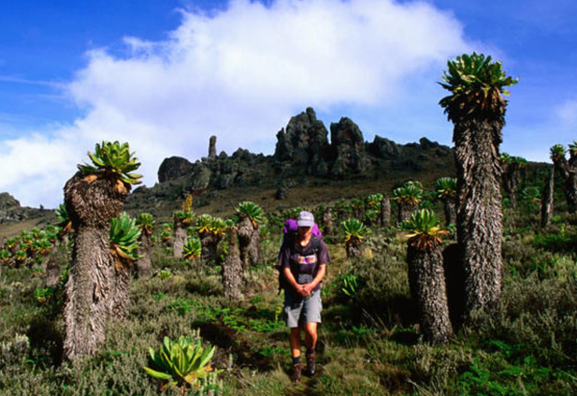 Mt Elgon National Park