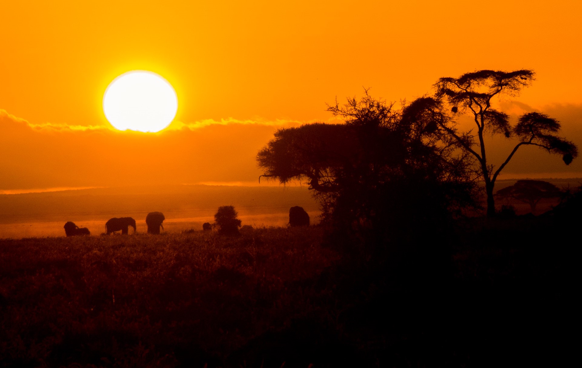 sunsetting at Amboseli National Park