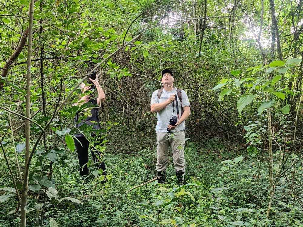 Visit to Bigodi Birding Sanctuary