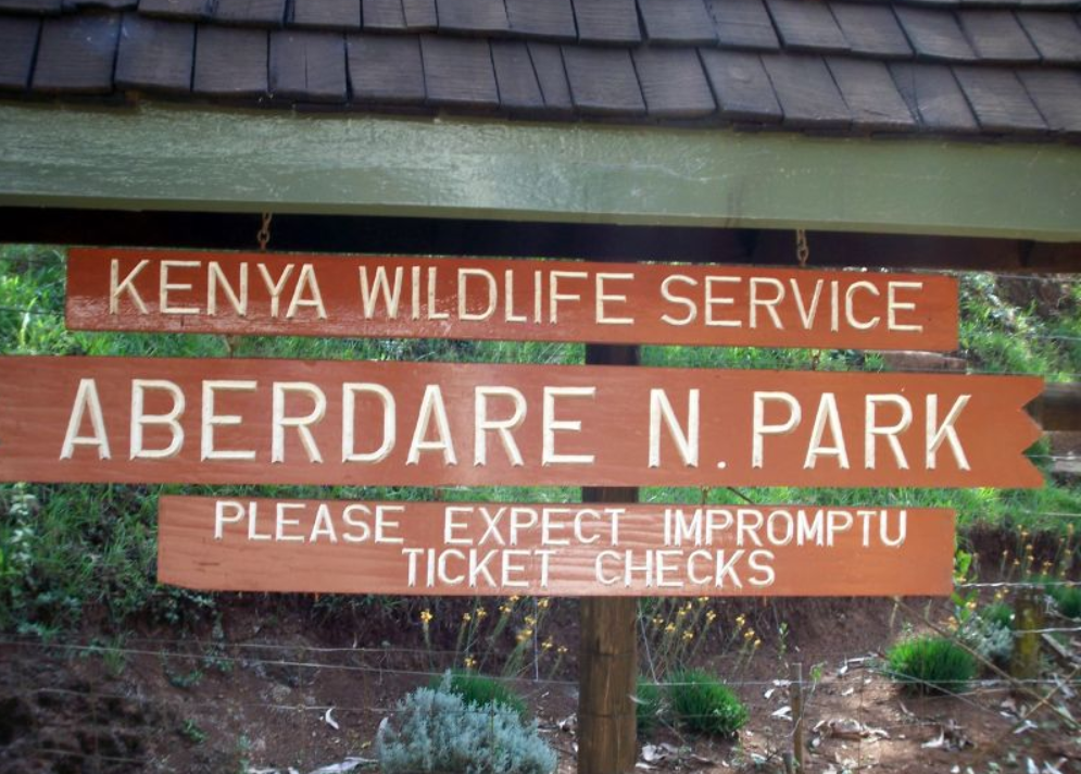 Aberdare national park Kenya