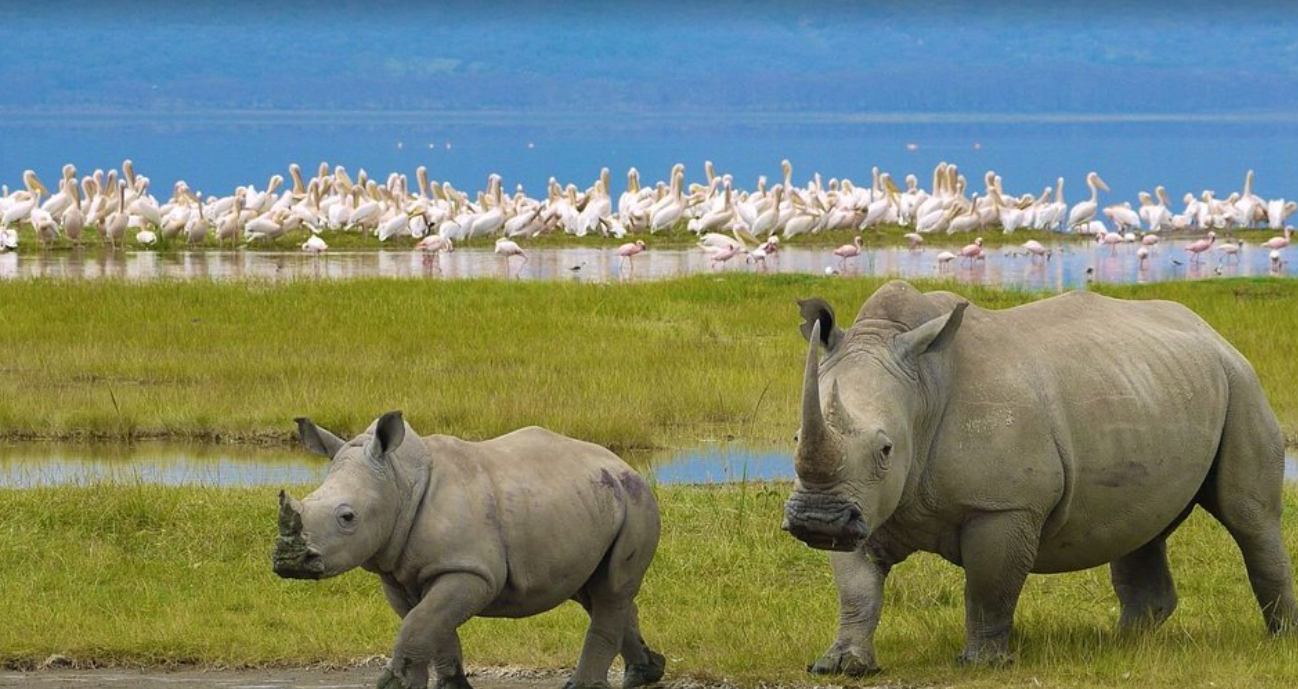 Lake Nakuru National Park