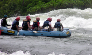 River Nile in Jinja is well known for the best white water rafting encounters on 1 day visit to Jinja