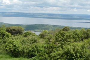 clear views of lake Ihema, wildlife safari