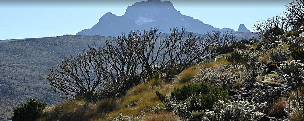 great views of Mount Kenya National Park 