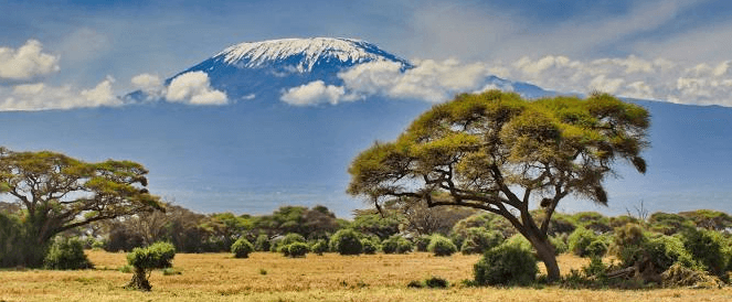 Mount Kilimanjaro National Park Tanzania